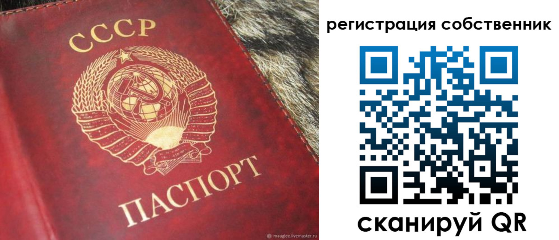 временная регистрация надежно в Сегеже